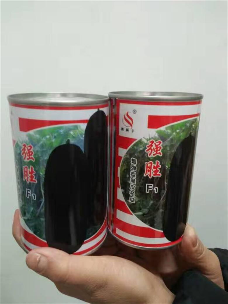 南寧優質雜交冬瓜種子_特大黑皮冬瓜種子