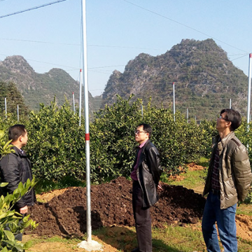 工廠批發果樹防蟲網質量好耐用臍橙網全新料加厚好網直發用戶