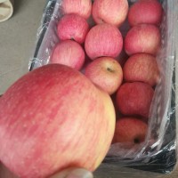 陜西冷庫紅富士蘋果價格，冷庫紙袋紅富士蘋果產地行情