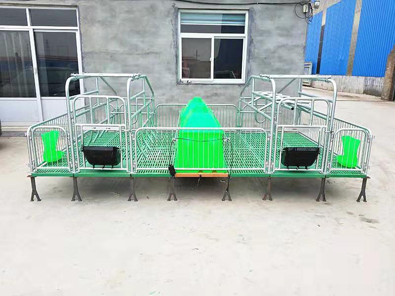 母豬產床_可折疊兩用豬產床_養殖設備