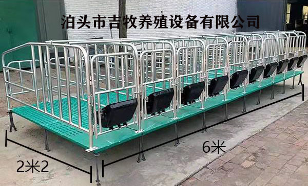 母豬限位欄_復合加厚_泊頭市吉牧養(yǎng)殖設(shè)備有限公司