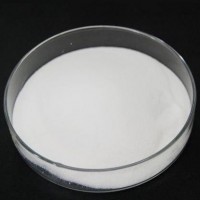 公司新產(chǎn)品依克多因上市